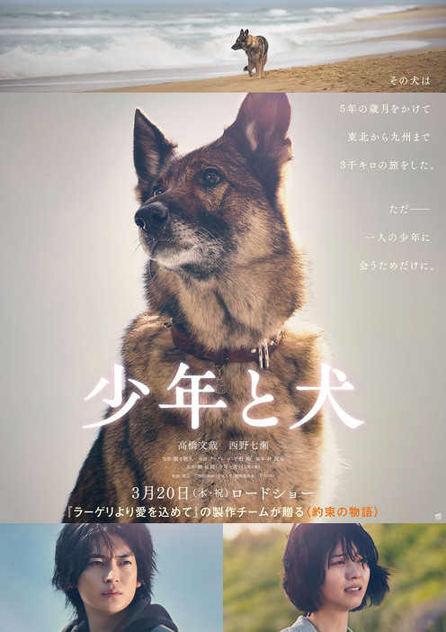 『少年と犬』ビジュアル