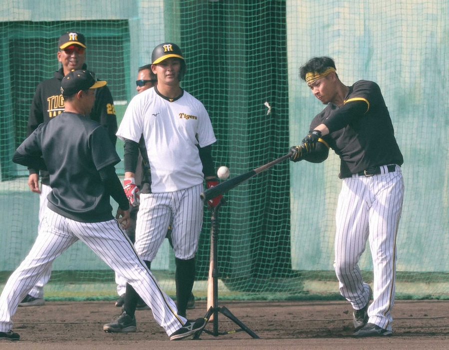 阪神・藤川監督（左奥）が見守る中、右打ちでロングティーに励む佐藤輝（撮影・北條　貴史）