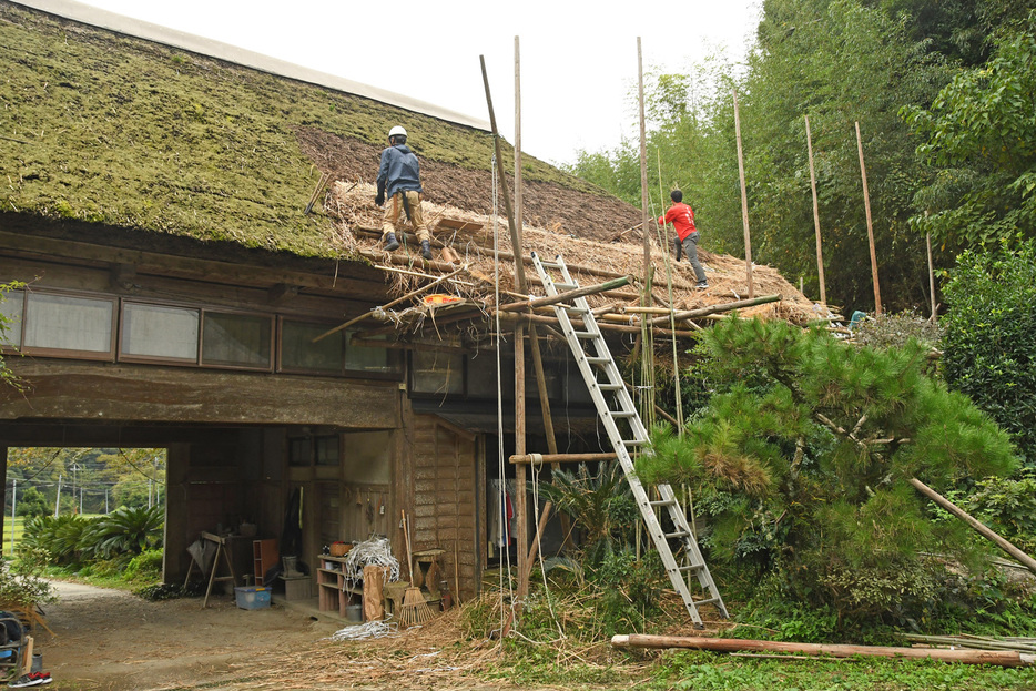 じろえむの長屋門で進む葺き替え作業＝いずれも南房総