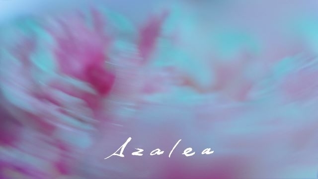 米津玄師、Netflixシリーズ『さよならのつづき』主題歌「Azalea」のMV公開