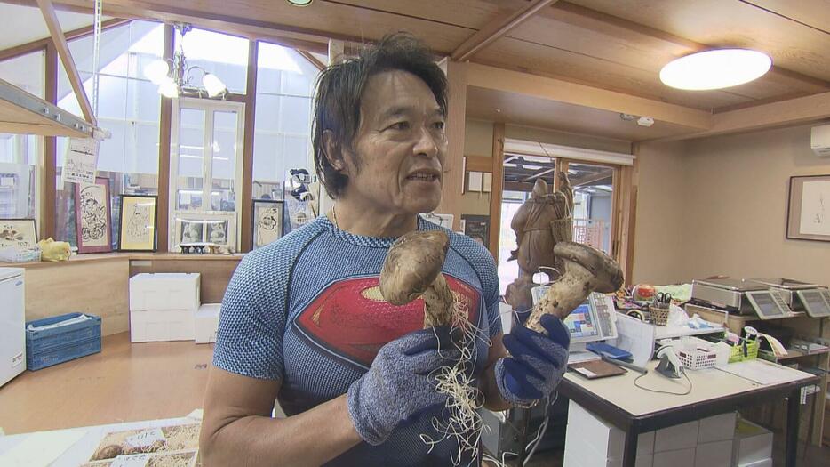 “秋の味覚の王様”　マツタケ「異例の豊作」　広島