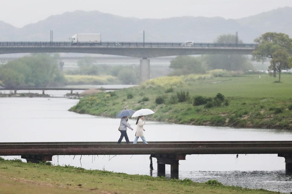 鮭が遡上する南限とされる遠賀川