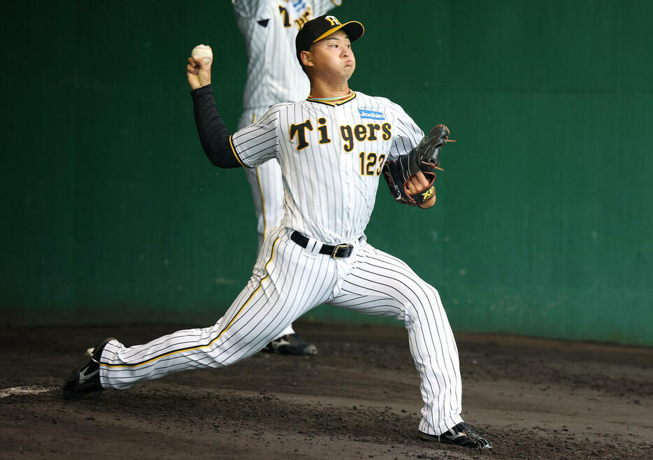 ブルペンで投球練習をする阪神松原（撮影・前田充）