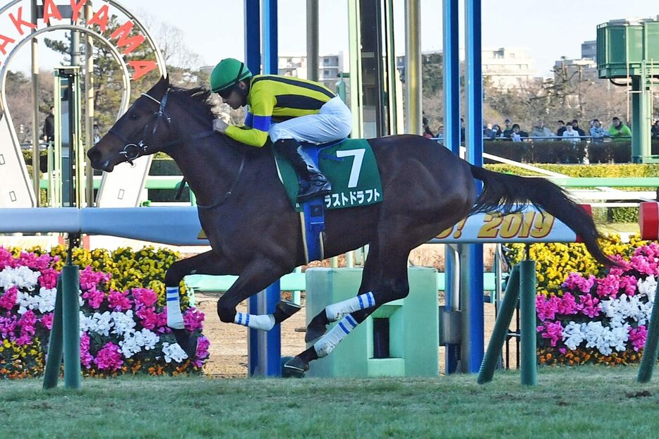 １９年京成杯を制したラストドラフト