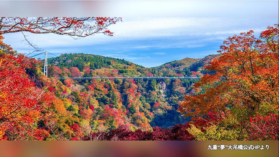 紅葉が見ごろになるとこんな感じ（九重“夢”大吊橋公式HPより）