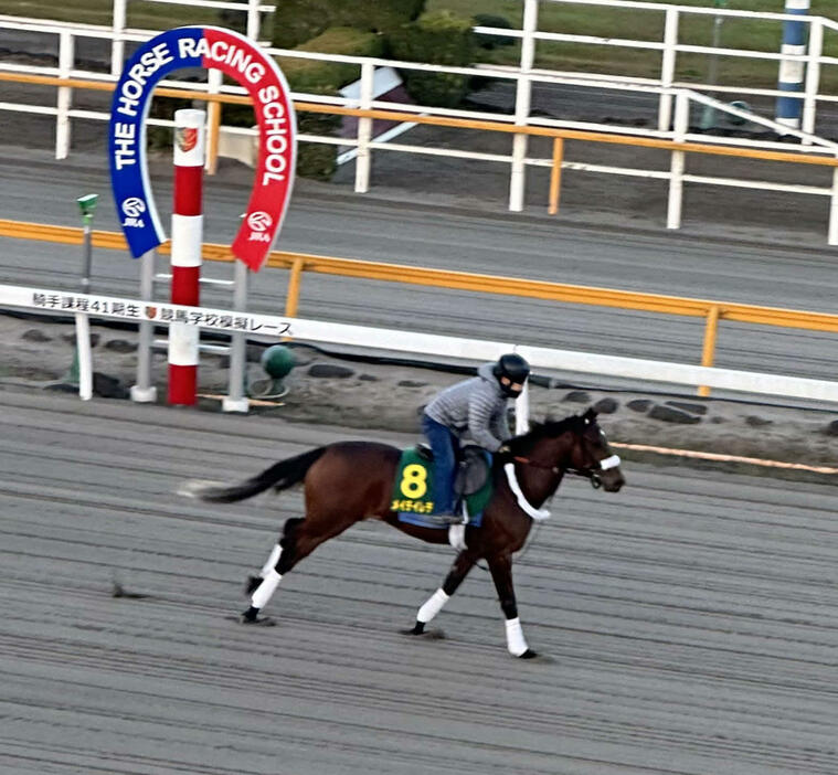 競馬学校で調整を行うメイデイレディ