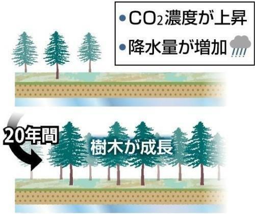 永久凍土に広がる森林の変化