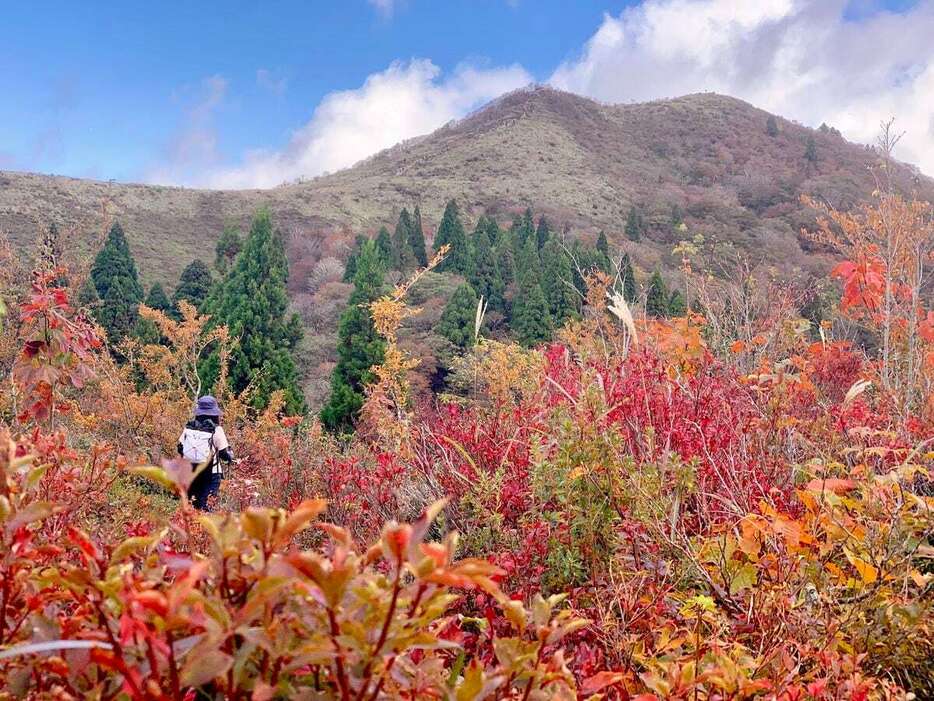 昨年秋、比良山地の武奈ケ岳。近畿地方から日帰りでアクセス可能な山は数多く、初心者でも安心して歩けるコースを選ぶことができる