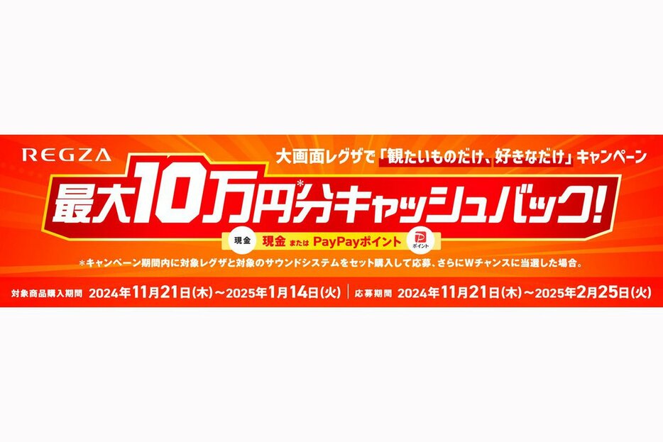 大画面レグザで “観たいものだけ、好きなだけ” キャンベーン」