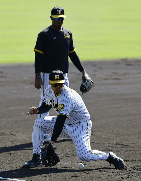 シートノックを受ける佐藤輝（撮影・藤尾明華）