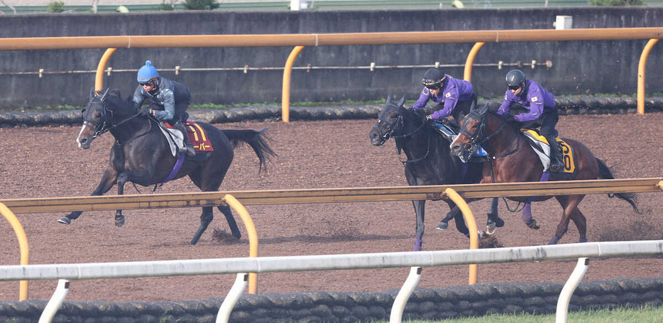 CWコースにて3頭併せで追い切るハーパー（左）（撮影・亀井直樹）