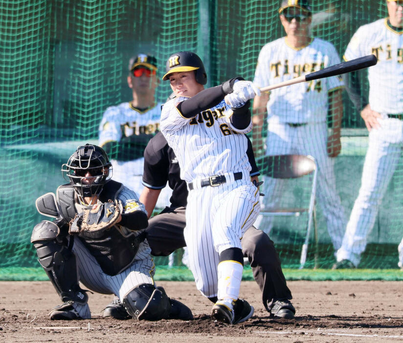 秋季キャンプ3日目、紅白戦　4回裏白組2死、豊田は中前打を放つ。後方左は藤川監督（撮影・加藤哉）