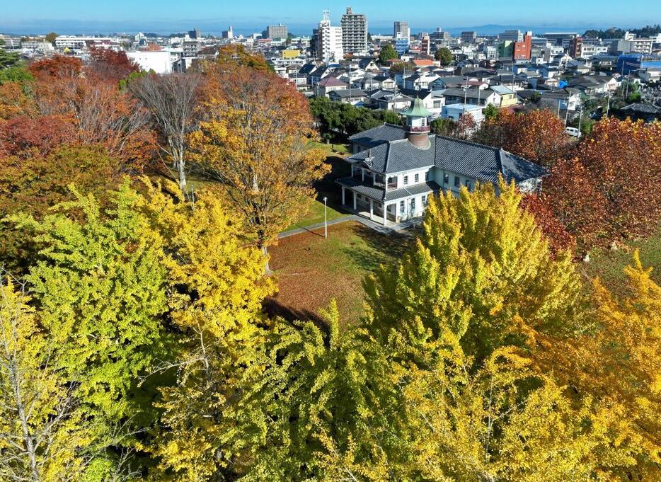 秋色に染まる県立歴史館の庭園=22日午前、水戸市緑町(小型無人機から)