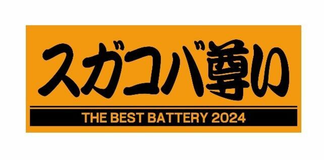 菅野と小林の「プロ野球最優秀バッテリー賞」受賞記念グッズのフェースタオル（球団提供）