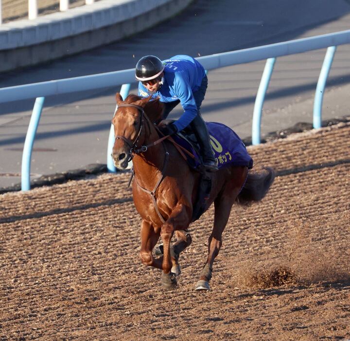 美浦Wコースで単走。馬なりで6ハロン82秒4、ラスト1ハロン11秒3をマークしたレモンポップ＝美浦トレセン（撮影・塩浦孝明）