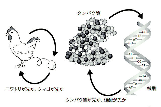 「ニワトリとタマゴ問題」の