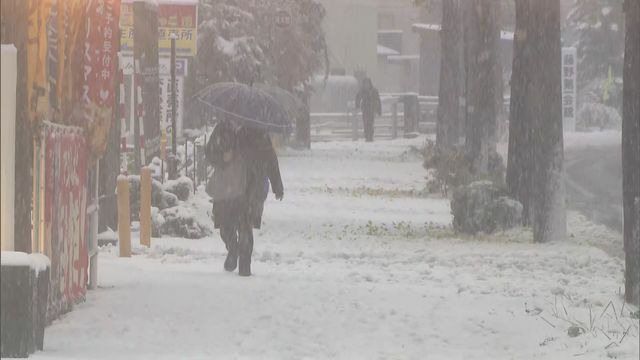 STVニュース北海道