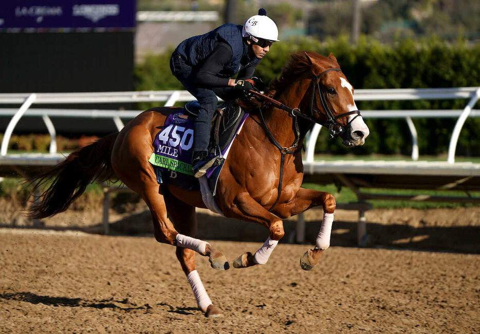 BCマイル出走のカールスパクラー（（C）Katie Vordenberg／Eclipse Sportswire／Breeders Cup）