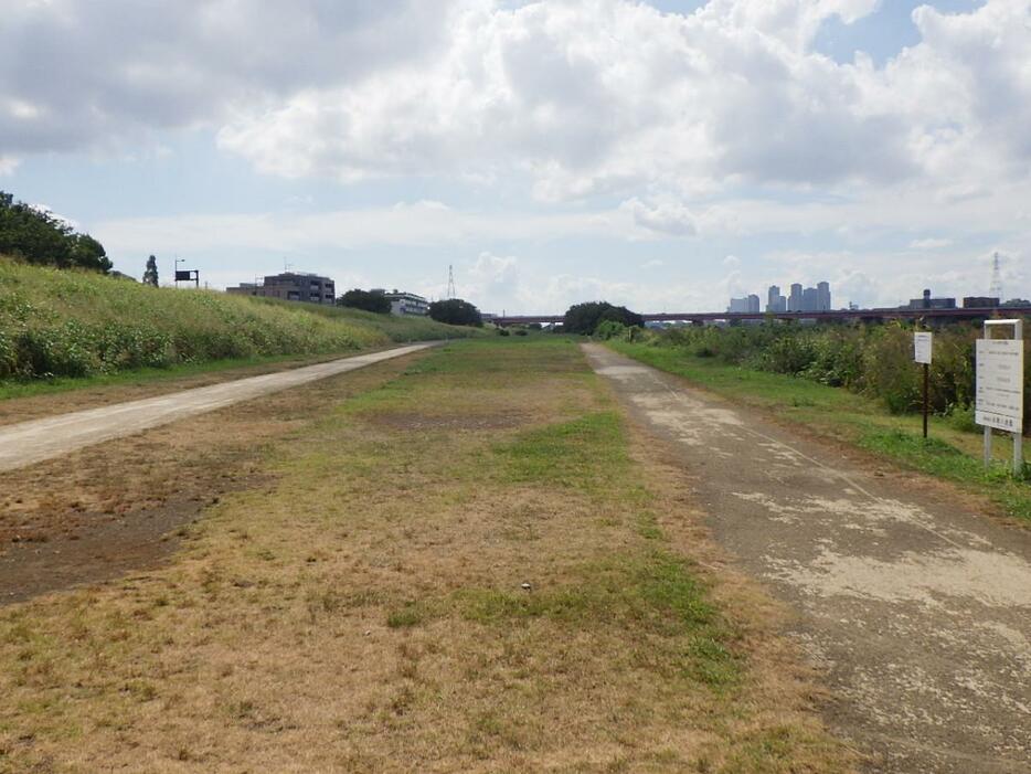 多摩川河川敷の様子