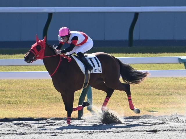 2歳新馬戦を制したナリノエンブレム(c)netkeiba