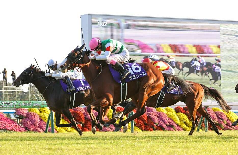 昨年のマイルCSを優勝したナミュール＝京都競馬場（撮影・河田一成）