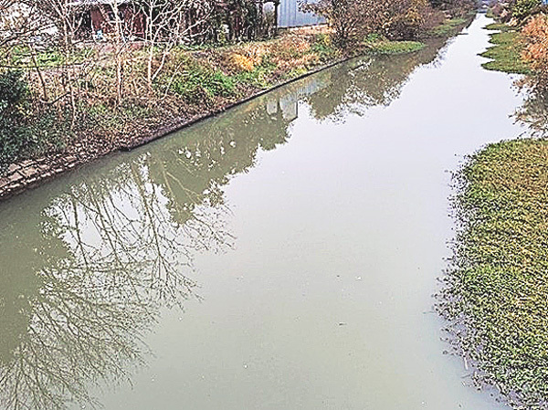 11月末に15人で半日かけてナガエツルノゲイトウを取り除いた地点（茨城県利根町で＝環境政策課提供）