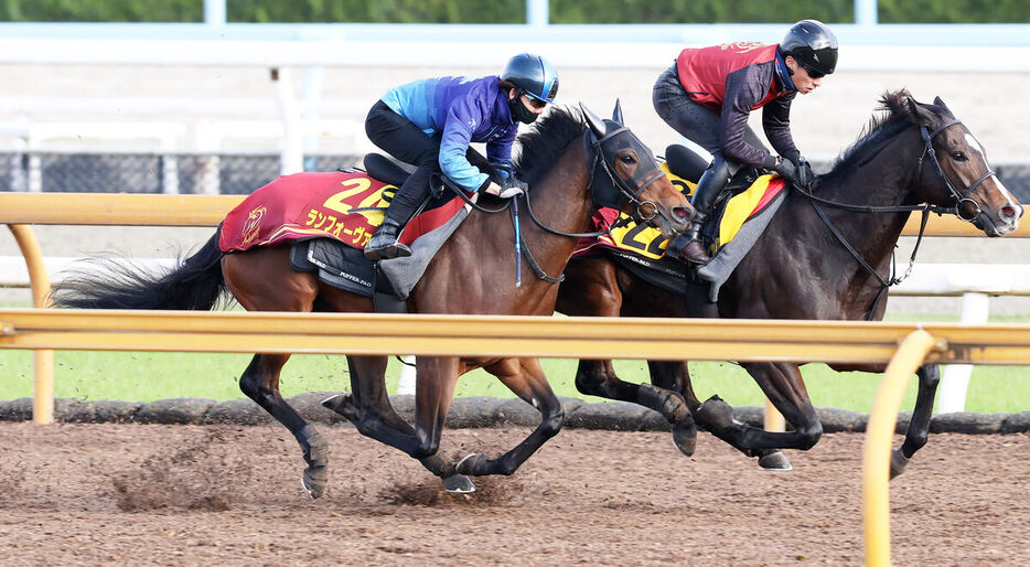 併せ馬で追い切るランフォーヴァウ（左）