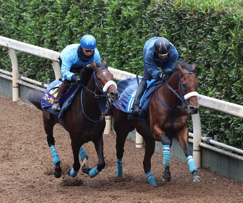 菅原明良を背に坂路をロードアウォード（右）と併せ馬で追い切るブローザホーン