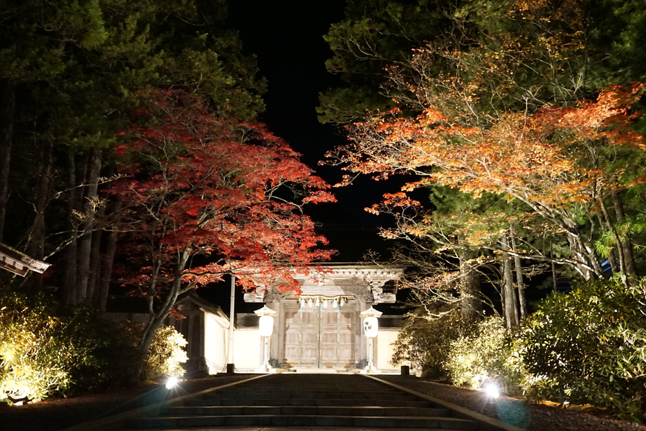 ライトアップされた金剛峯寺正門と紅葉＝２３日、和歌山県高野町