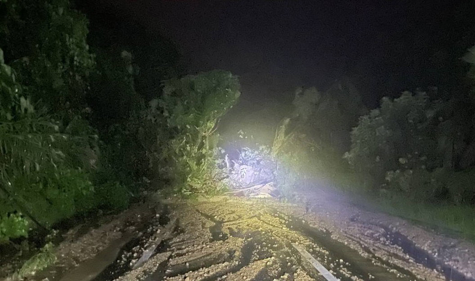 県道623号与論島循環線の立長地区で起きた崖崩れ。道路に流れ出した土砂や樹木より通行止めとなっている＝9日午前5時頃（同町提供）