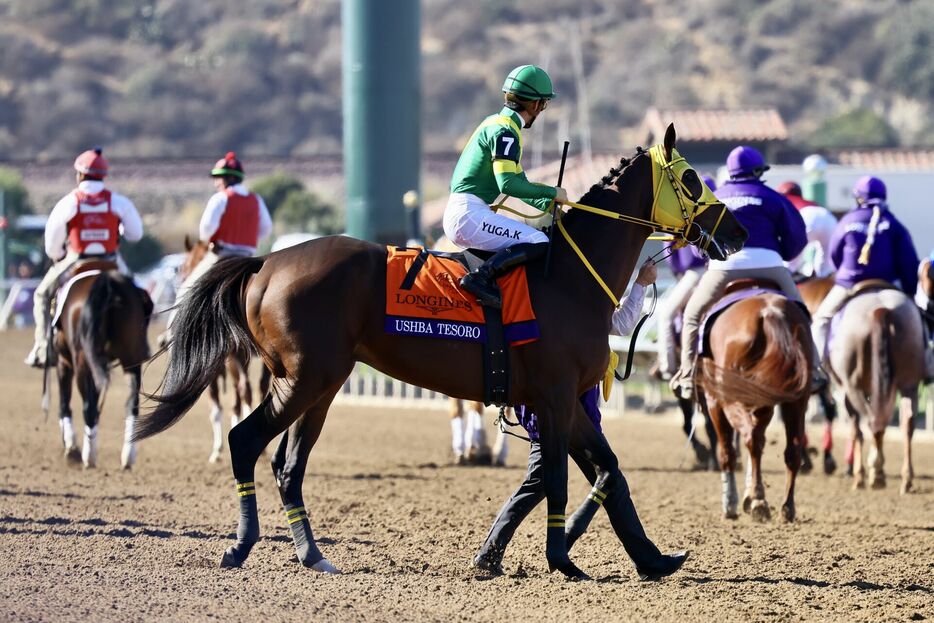 BCクラシック・ウシュバテソーロと川田将雅騎手 (C)Hiroki Homma