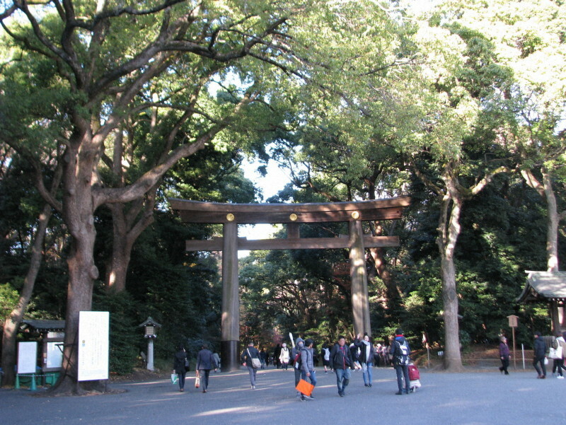 明治神宮＝東京都渋谷区で2017年12月12日、木村健二撮影