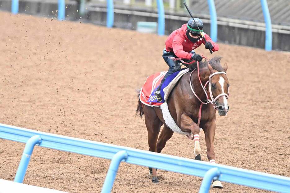 ウインマーベルは鋭い反応で半馬身先着