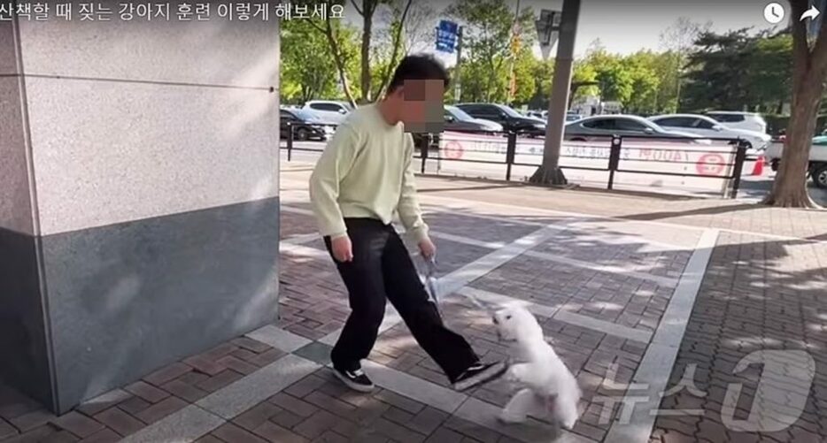 散歩の時に吠える犬の訓練映像＝ユーチューブキャプチャー(c)news1