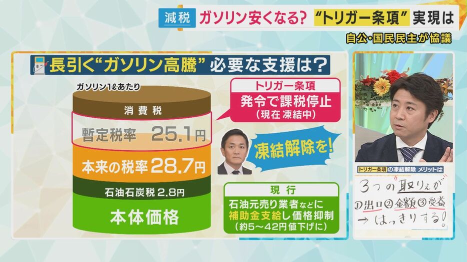 「『トリガー条項』に含まれないものは臨機応変に補助金を」