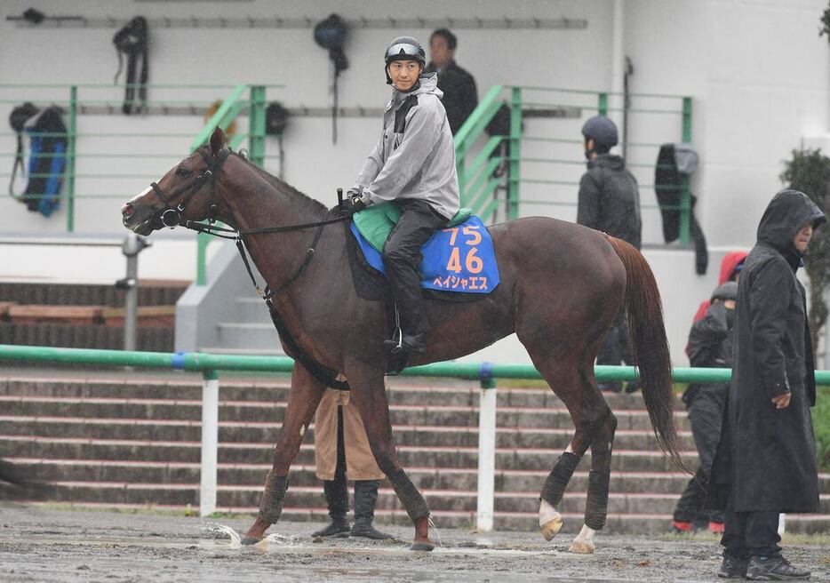 重賞３勝のペイシャエスは斤量57キロが魅力だ