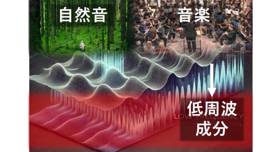 自然の音や音楽から低周波成分を取り出すイメージ（鈴木准教授の資料から）