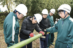 協力して竹の伐採作業に取り組む富士見高校の3年生と富士見小学校の6年生