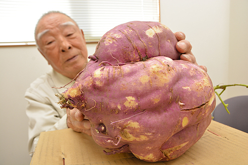 収穫したサツマイモを持つ蘆田さん