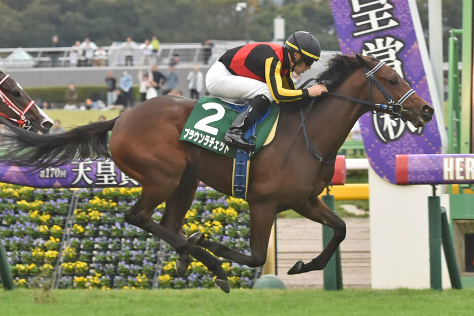 デビューから連勝中のブラウンラチェットは阪神ＪＦへ