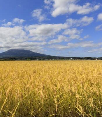 〔PHOTO〕iStock