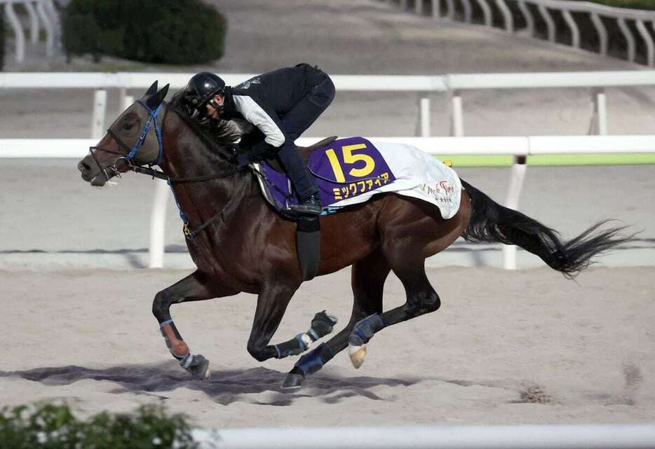 ミックファイア＝大井競馬場（撮影・塩浦孝明）