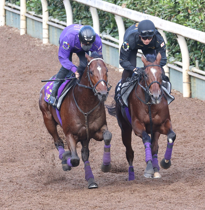 坂路で併せ馬を行うドウデュース（左）