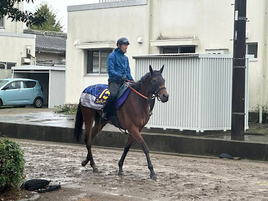 府中牝馬Sを快勝して臨むブレイディヴェーグは❶枠②番に決まった