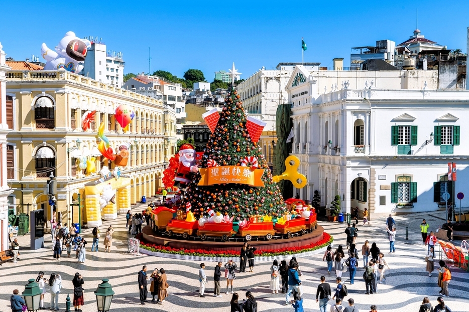 巨大クリスマスツリーが設置された世界遺産・セナド広場の様子（写真：IAM）