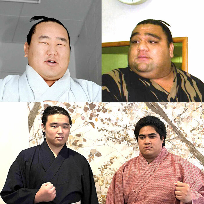 セルジブデー・ルブサンゴンボ（左下）とアイルア・ダニエル（右下）。左上は朝青龍、右上は武蔵丸