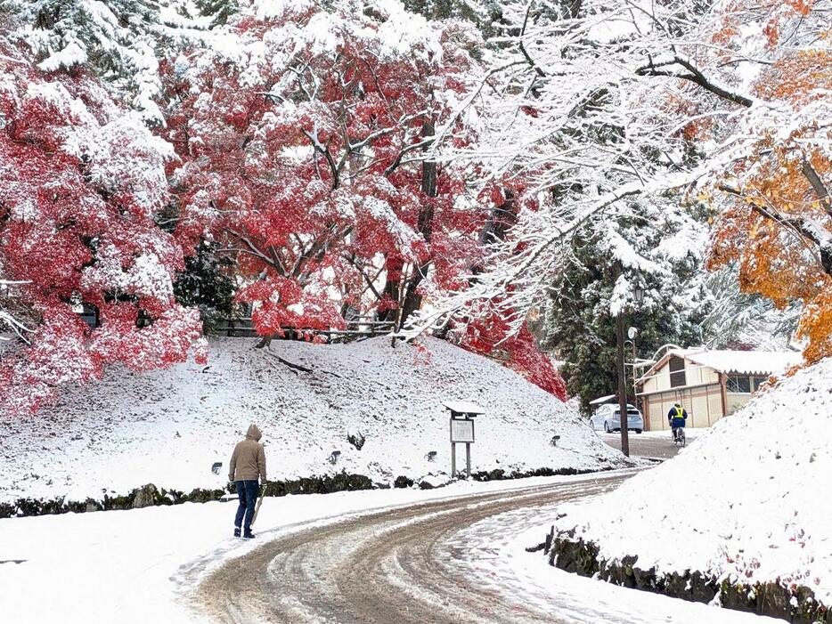 弘前公園内賀田御門跡から撮影した紅葉と雪