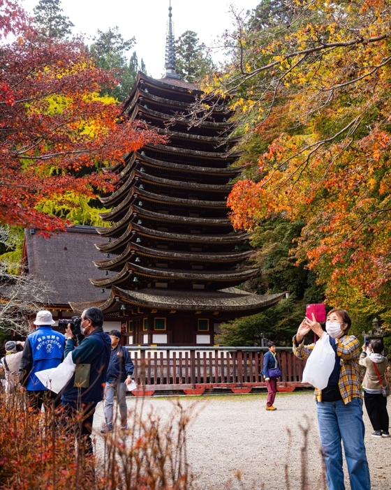 紅葉に彩られた十三重塔=19日、桜井市多武峰の談山神社