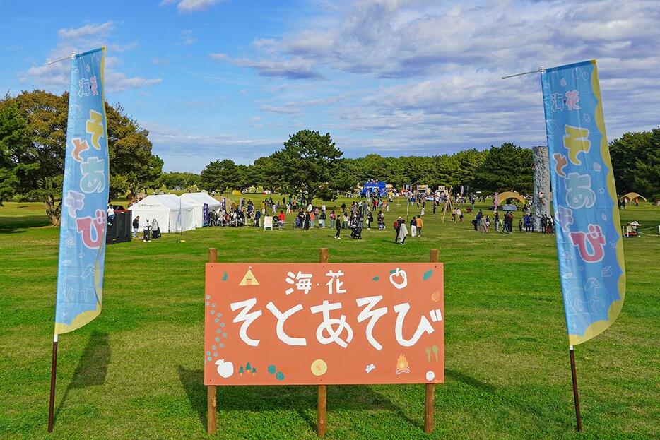 草原エリアの様子