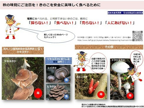 農水省、野生の毒きのこを誤って食べないよう注意（画像は公式Xのポストより）